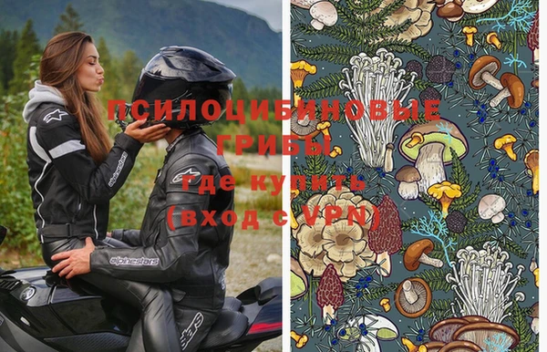 тгк Абдулино