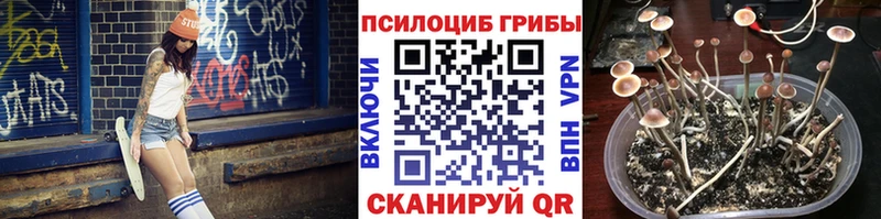 Псилоцибиновые грибы мухоморы Трубчевск